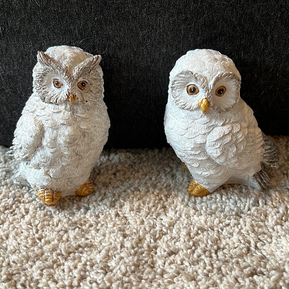 Decorative Owls